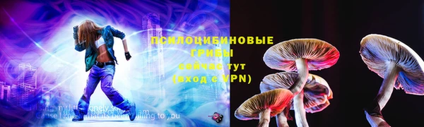 индика Абдулино