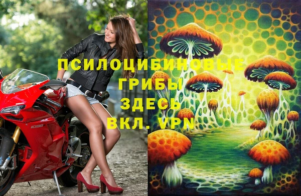 jwh Пересвет