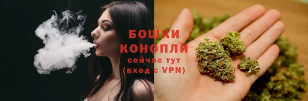 jwh Пересвет
