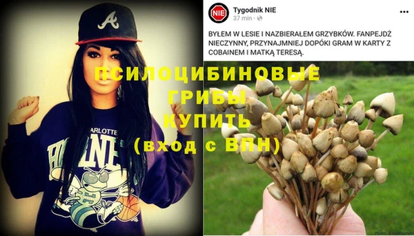 индика Абдулино
