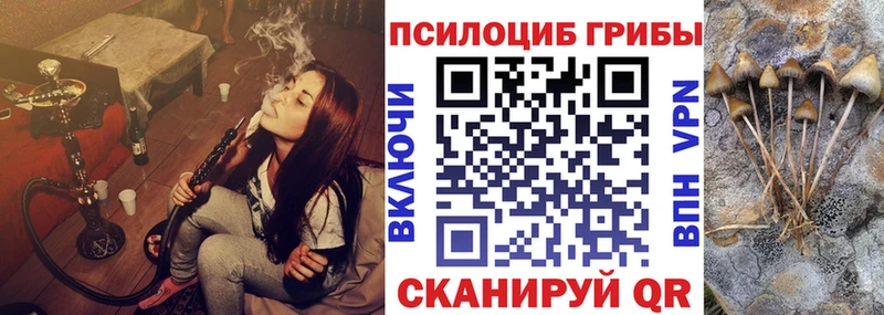 hydra онион Гагарин Псилоцибиновые грибы Magic Shrooms